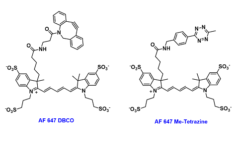 AF 647/555-Click probes